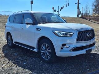 2023 Infiniti QX80