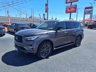 2023 Infiniti QX80