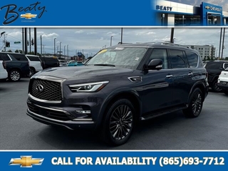 2023 Infiniti QX80 for sale in Knoxville TN