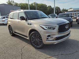 2023 Infiniti QX80