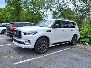2023 Infiniti QX80