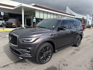 2024 Infiniti QX80