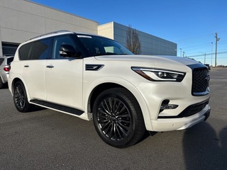 2024 Infiniti QX80
