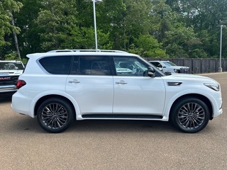2023 Infiniti QX80