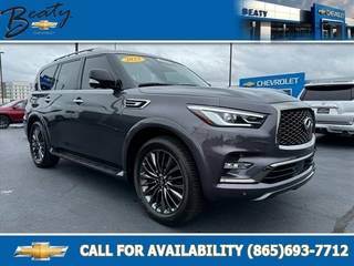 2023 Infiniti QX80