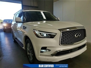 2022 Infiniti QX80 for sale in Morristown TN