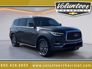 2024 Infiniti QX80