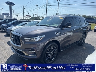 2024 Infiniti QX80