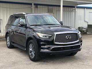 2023 Infiniti QX80