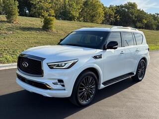 2023 Infiniti QX80
