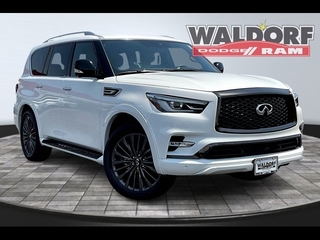 2024 Infiniti QX80 for sale in Anderson SC