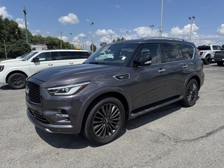 2024 Infiniti QX80