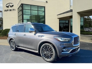 2023 Infiniti QX80