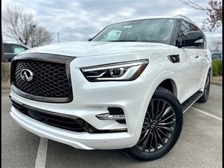 2024 Infiniti QX80