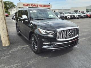 2023 Infiniti QX80