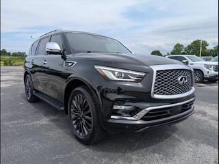 2023 Infiniti QX80