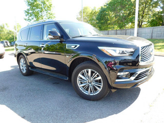 2019 Infiniti QX80 for sale in Clarksville TN