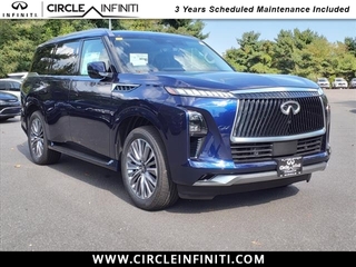 2025 Infiniti QX80