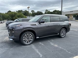 2025 Infiniti QX80 for sale in Columbia SC