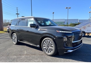 2025 Infiniti QX80 for sale in Columbia SC