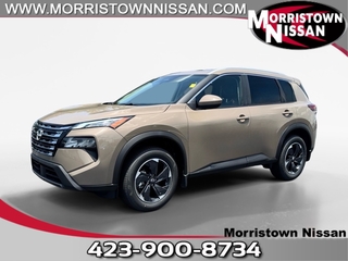2025 Nissan Rogue for sale in Chattanooga TN