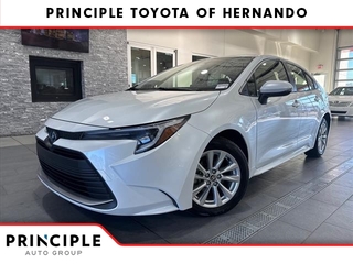 2023 Toyota Corolla Hybrid for sale in Hernando MS