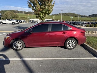 2023 Toyota Corolla Hybrid for sale in Chattanooga TN