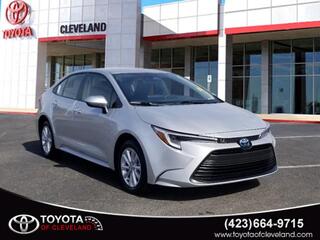 2024 Toyota Corolla Hybrid for sale in Mcdonald TN