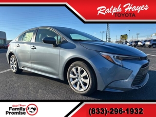 2025 Toyota Corolla Hybrid for sale in Anderson SC