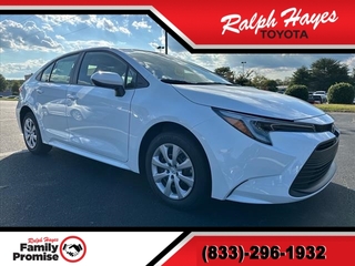 2024 Toyota Corolla Hybrid for sale in Anderson SC