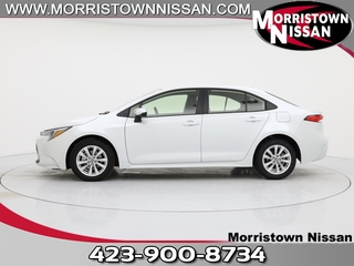 2025 Toyota Corolla Hybrid for sale in Morristown TN