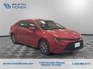 2021 Toyota Corolla Hybrid for sale in Bristol TN