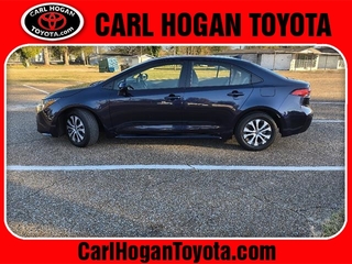 2022 Toyota Corolla Hybrid for sale in Columbus MS