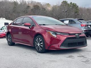 2022 Toyota Corolla for sale in Knoxville TN