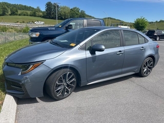2020 Toyota Corolla for sale in Chattanooga TN