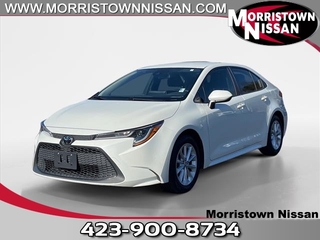 2021 Toyota Corolla for sale in Morristown TN