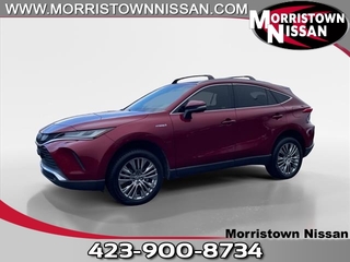 2021 Toyota Venza for sale in Morristown TN