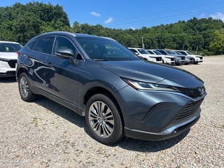 2024 Toyota Venza for sale in Bridgeport WV