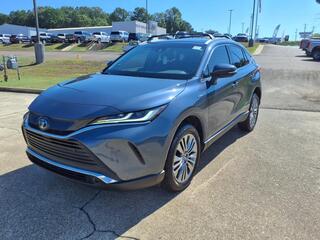 2021 Toyota Venza for sale in Muskegon MI