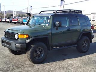 2013 Toyota Fj Cruiser