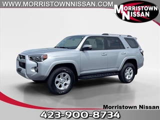 2024 Toyota 4Runner for sale in Morristown TN