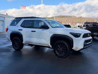 2025 Toyota 4Runner