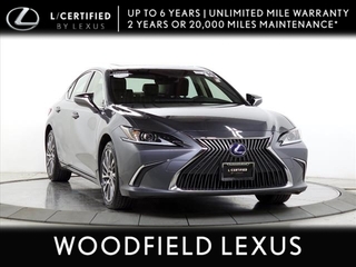 2019 Lexus ES 300h for sale in Schaumburg IL