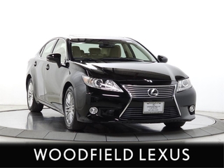 2013 Lexus ES 350 for sale in Schaumburg IL