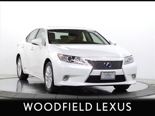 2015 Lexus ES 300h for sale in Schaumburg IL