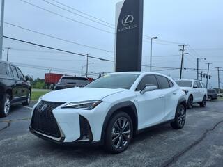 2021 Lexus UX 250h for sale in Toledo OH