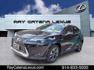 2023 Lexus UX 250h for sale in Larchmont NY