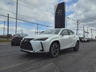 2024 Lexus UX 250h