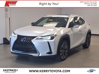 2020 Lexus UX 250h