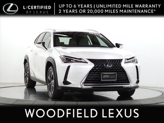 2020 Lexus UX 250h